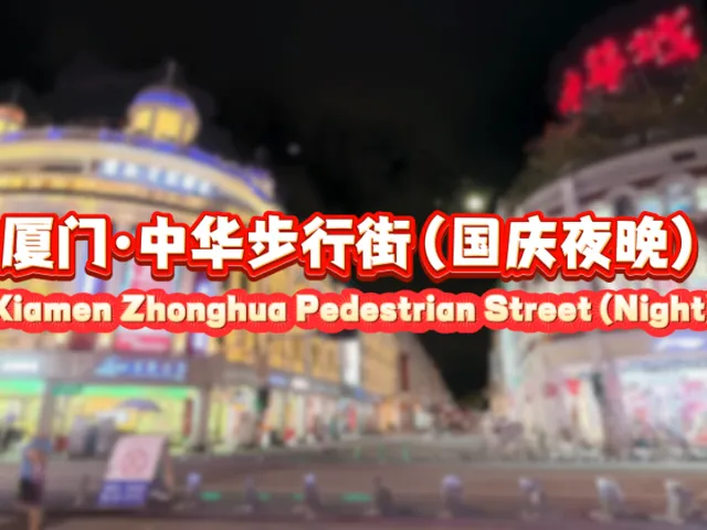 3D Scan·厦门·中华步行街（国庆夜晚）＼Xiamen · Zhonghua Pedestrian Street（Night）＃8