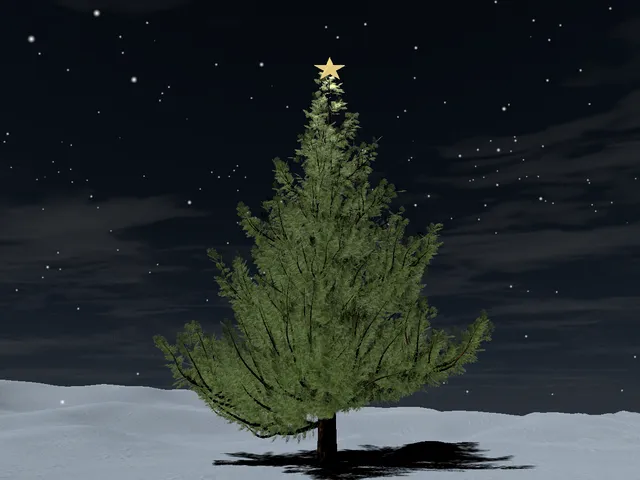 The Tree In The Middle of Nowhere