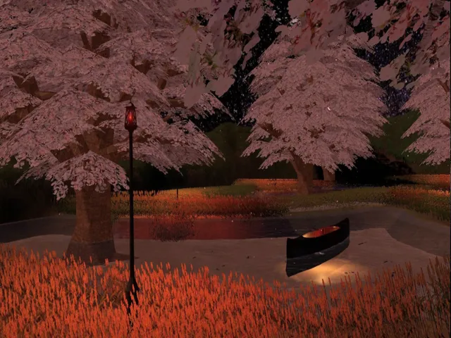 夜空の下に桜咲く