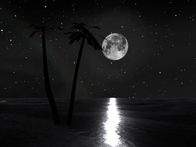 Miracle Musical - Hawaii˸ Part II