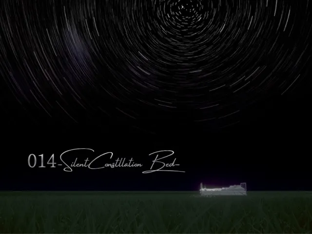 014-SilentConstllationBed-
