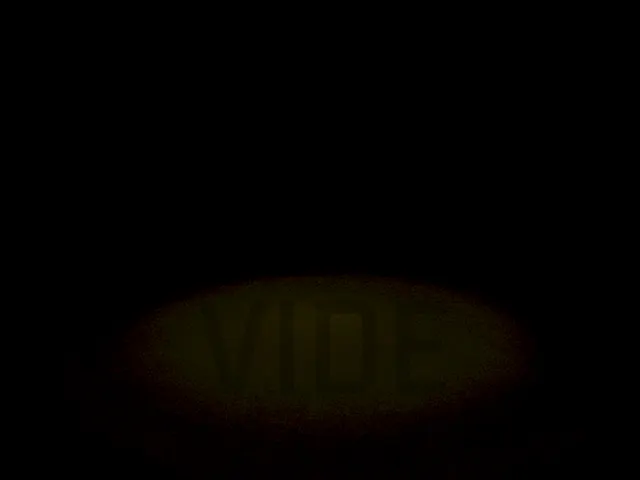 Vide