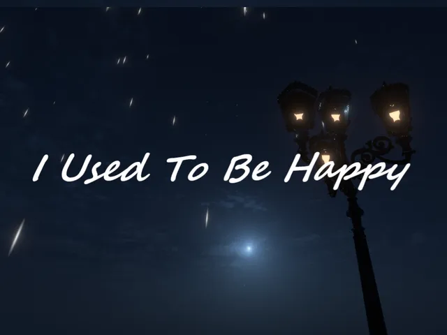 I Used To Be Happy