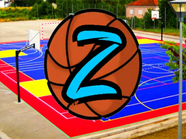 The Court