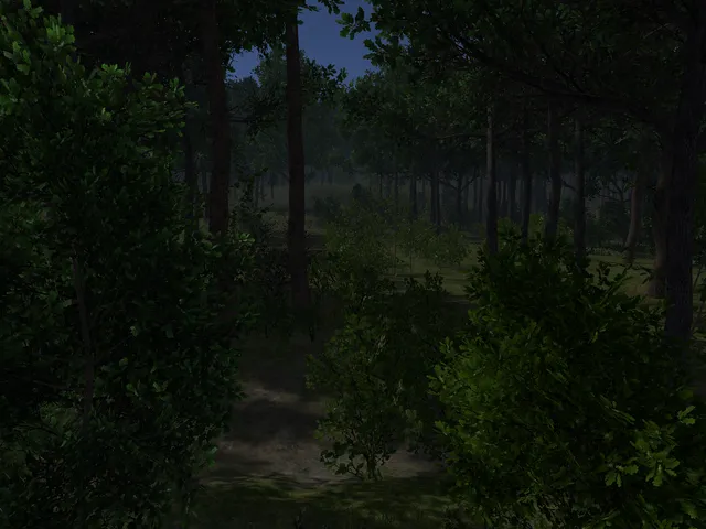 Endless Oak Forest