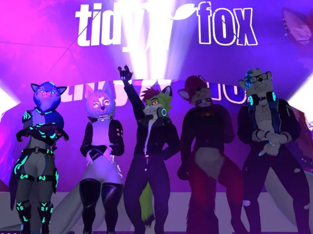 TidyFox NYE 2025 + 2026