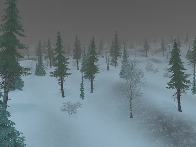 Snowy Mountain Adventure