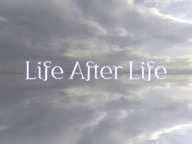 Life After Life （Render）