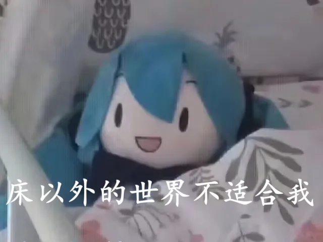 岚竹的小被窝