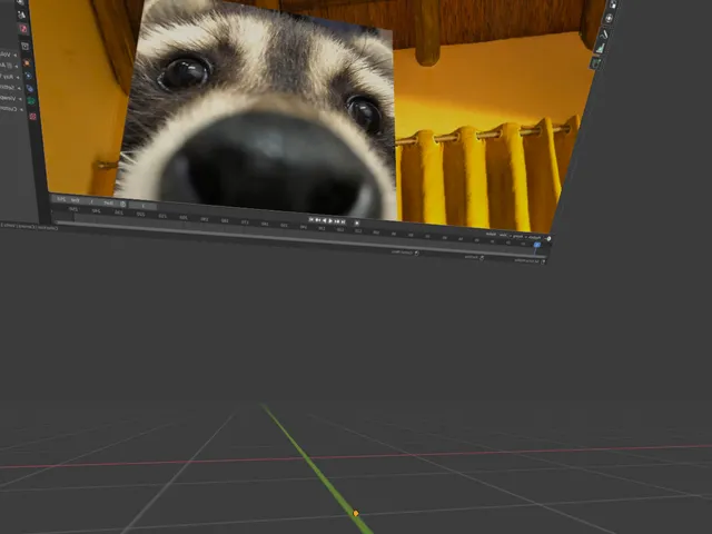 POV˸ You're a blender model