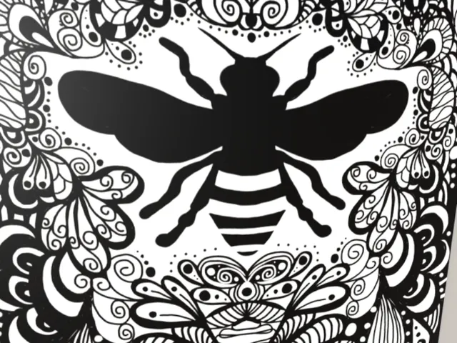 Art Studio and Gallery