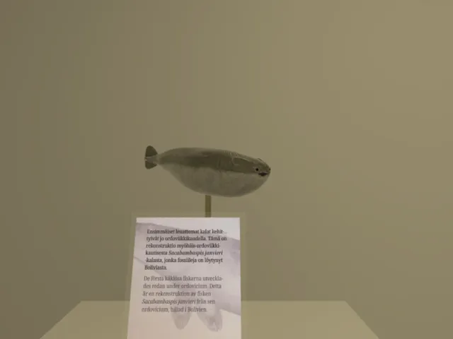 Sacabambaspis
