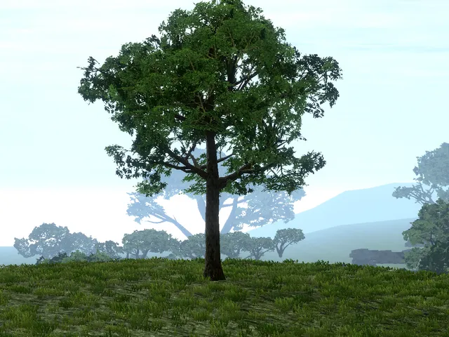 Elysium Dream - Xenoblade Chronicles 2