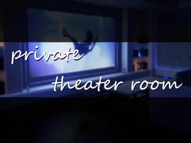 private theater room