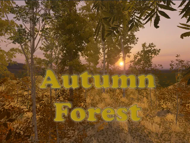 Autumn Forest