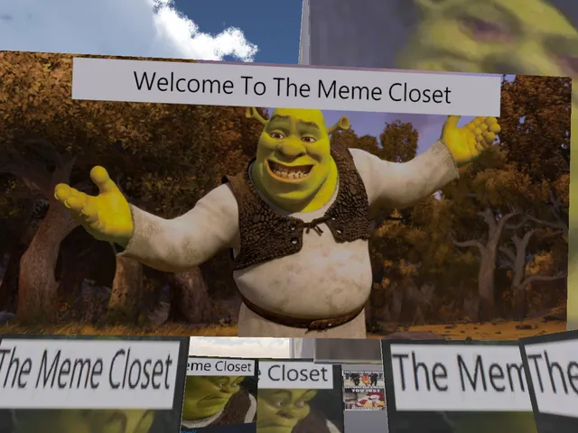 The Meme Closet