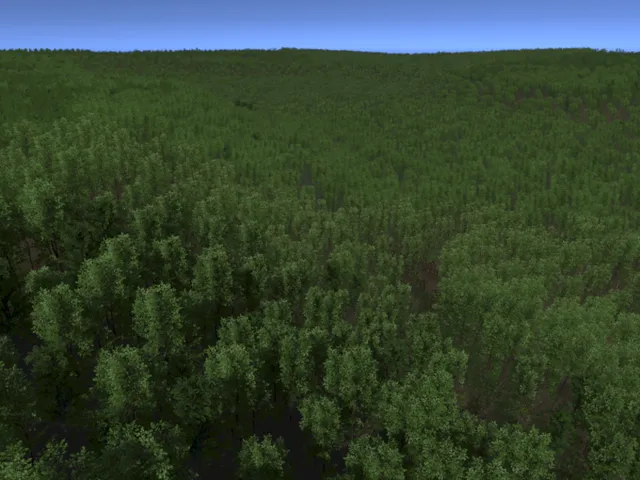 The Forest