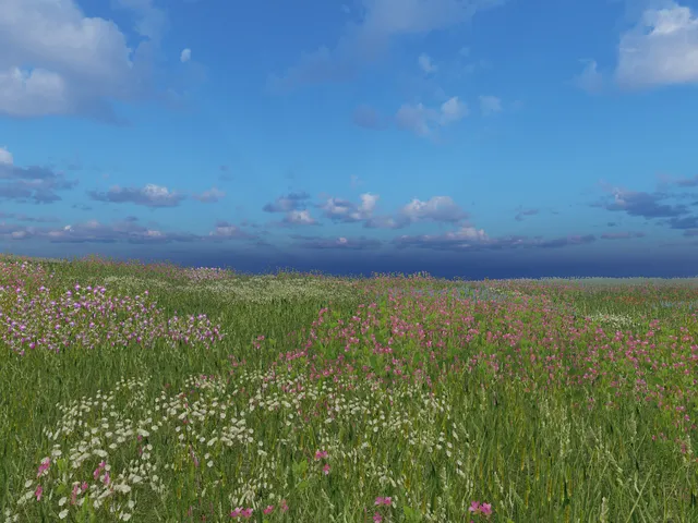 long forgotten field