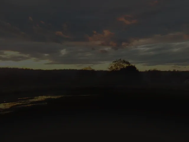 Calico's Music And Chill ≺3