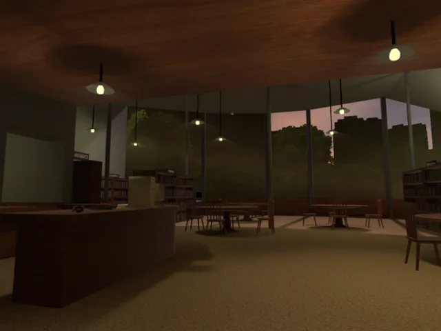 Cozy School Library