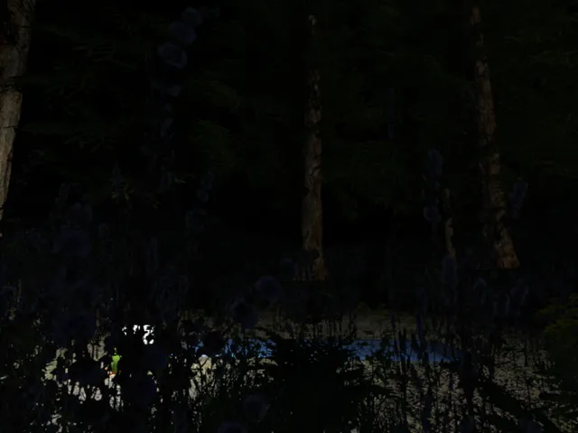 Dark forest