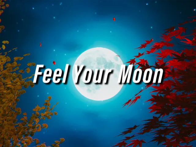 Feel The Moon