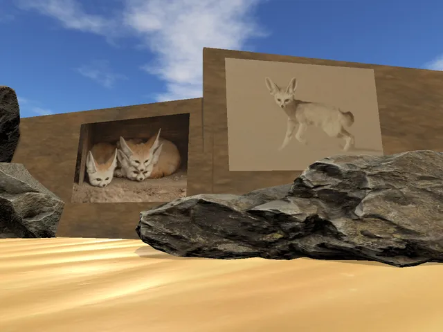Fennec Paradise