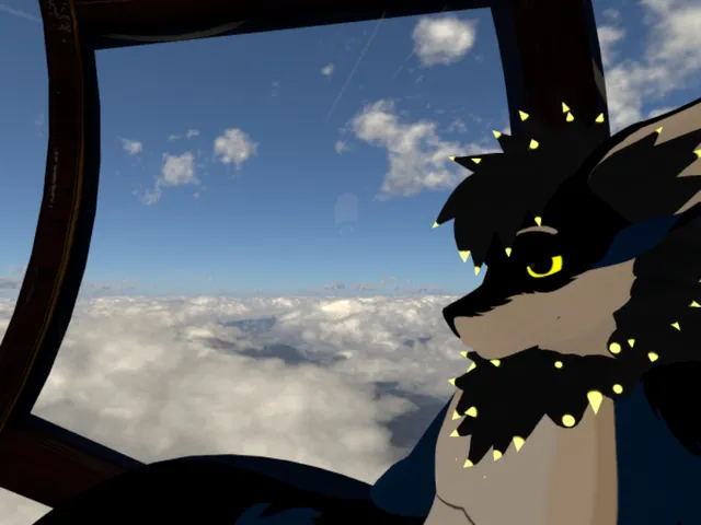 The local book store