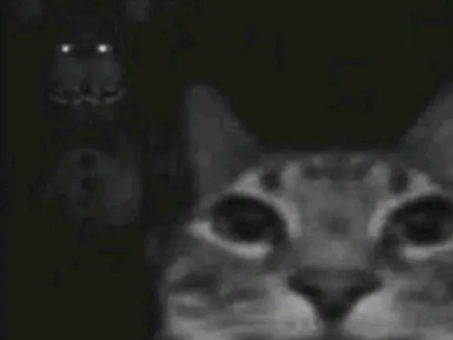 Darkness