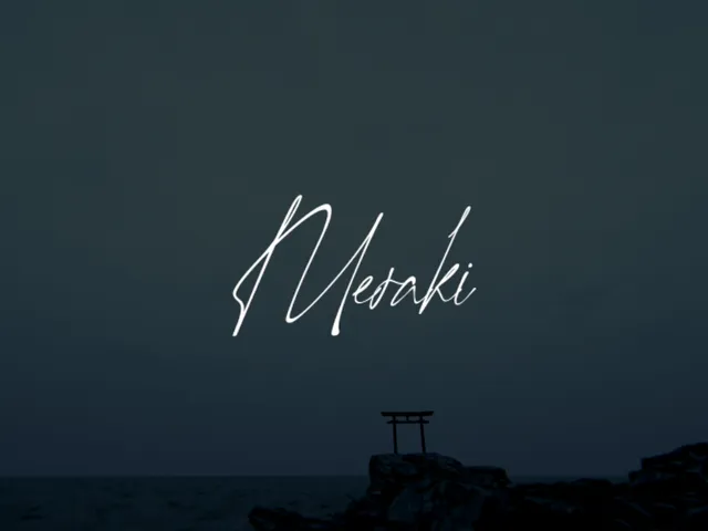 Meraki