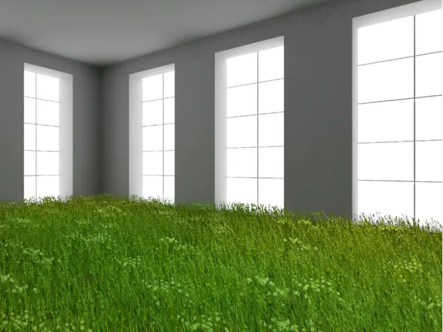 grass․exe