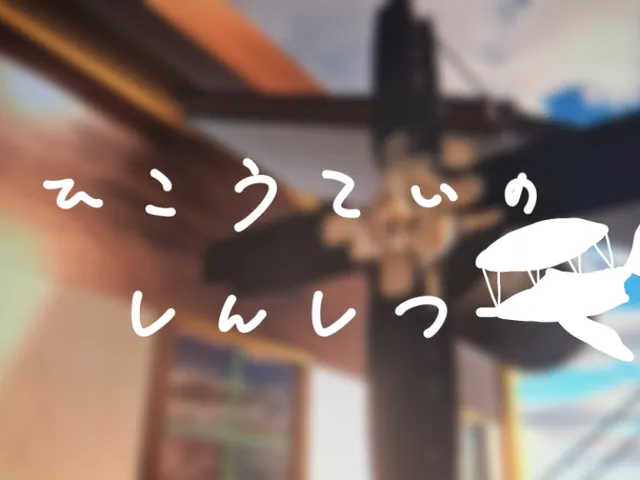 ひこうていのしんしつ