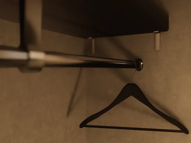 限界激狭収納部屋（Tiny closet）