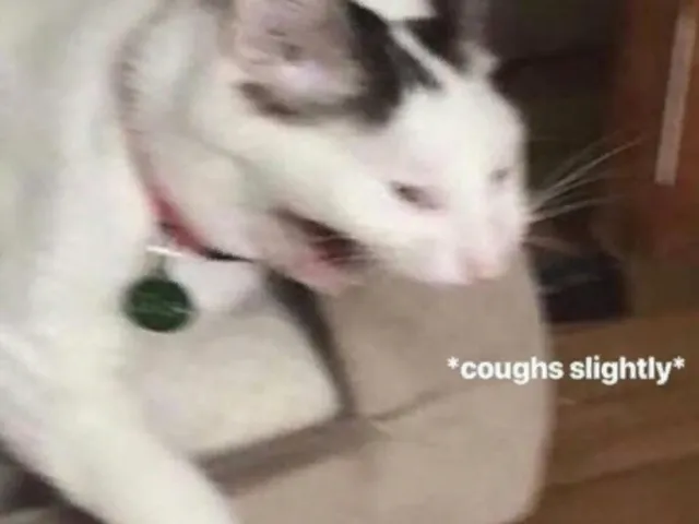 You are on a video call at 5 AM after staying up all night․