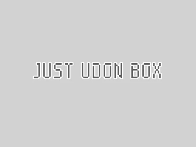 Just Udon Box