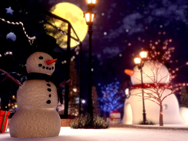 白い森の中、サンタの贈り物 - The Gift of Santa in the White Forest