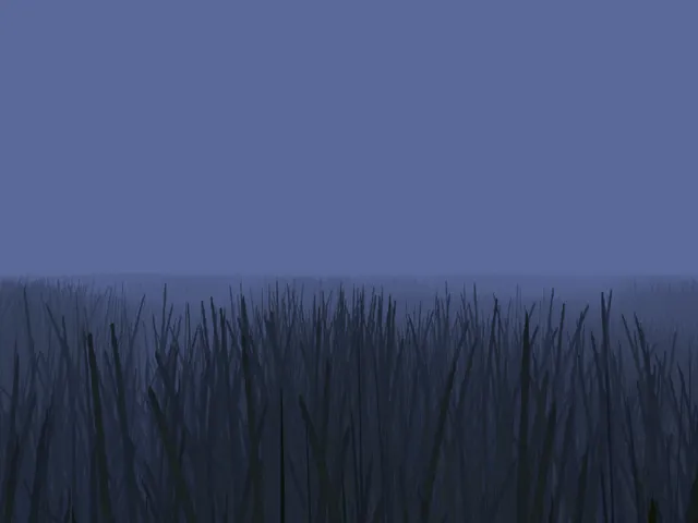 last summer days - shøuldz