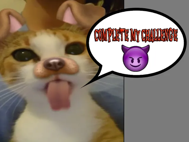 CAT OBBY （AWESOME MODE WIP）