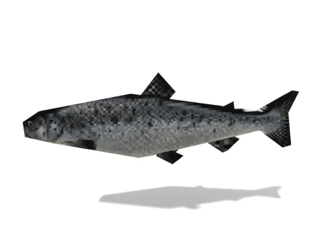 fish