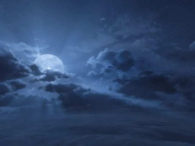 Starry Avi World