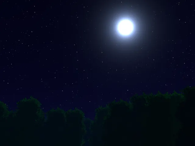 月森 ／ Moon forest
