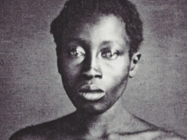 Archive˸ Rehumanization