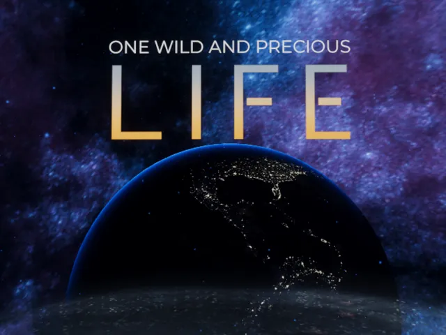 One Wild And Precious Life