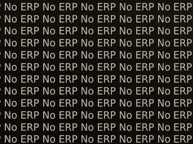 Anti ERP world
