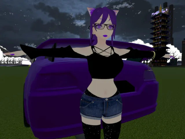 pr0xy's driving city