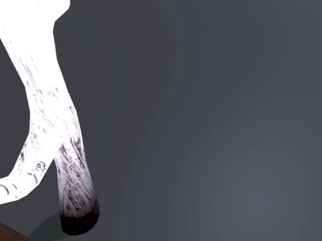 どっとふらっと