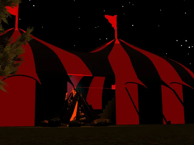 The Nightly Flipside Circus