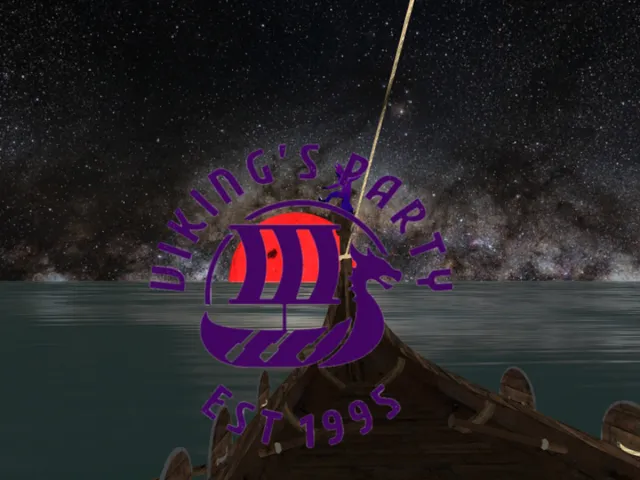 Viking's party