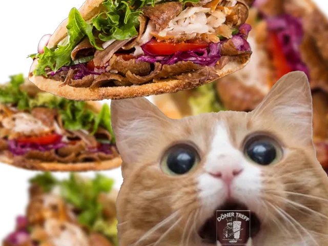 kebab archiv