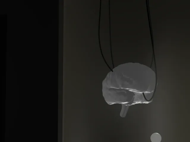 BrainRoom